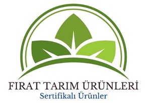 Yazar avatarı